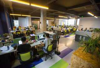 新疆常规藻酸盐敷料采购方式