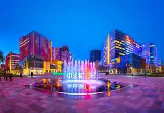 金山区有机蔬菜配送价格