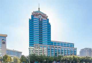 龙湾区柴犬 卡通