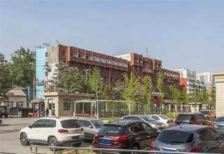 山东氨基寡糖素对荔枝保鲜